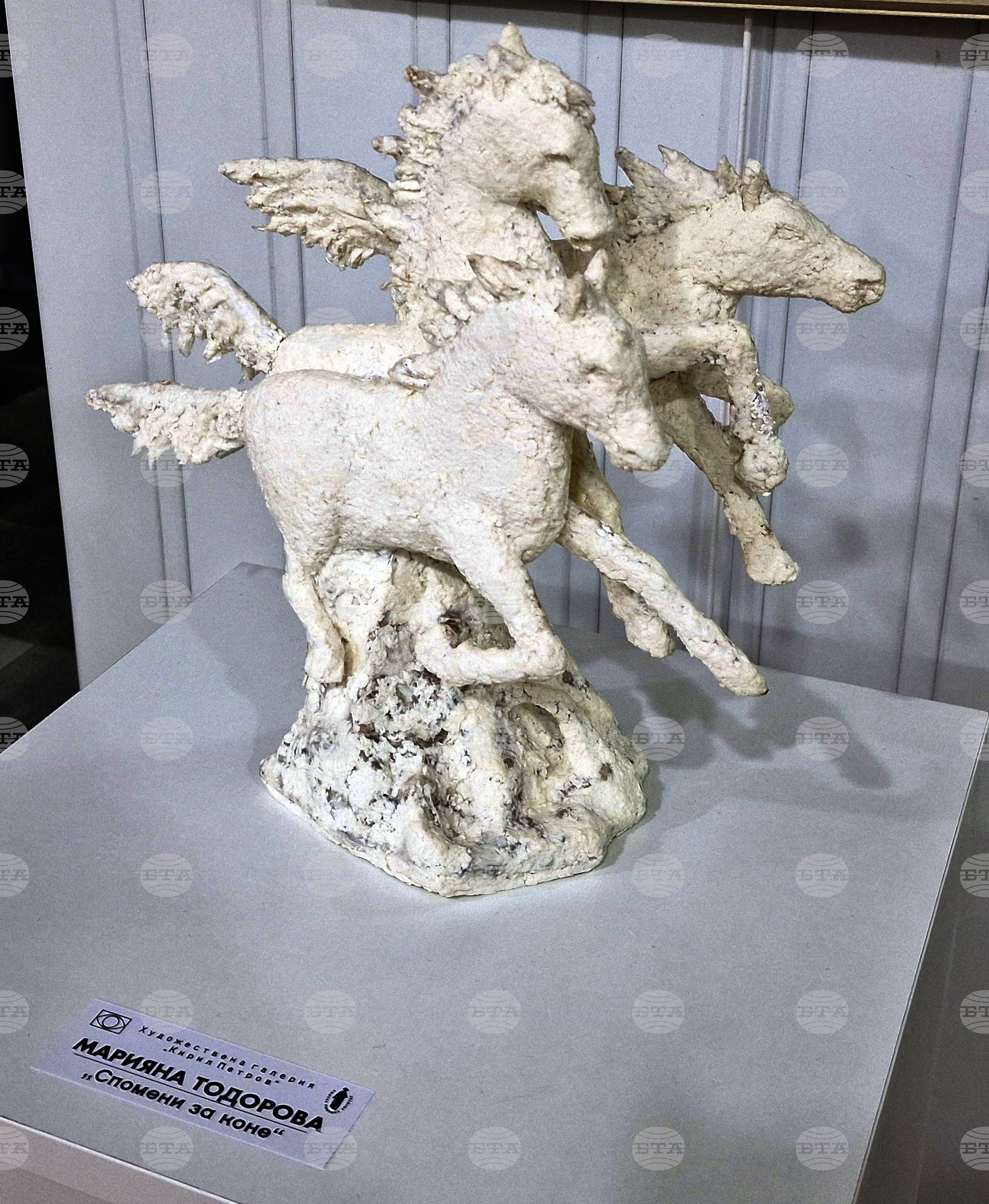 Монтана - изложба - "Четири посоки"