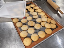 Самоков - комплекс „СамЕлион“ - Ден на отворените врати