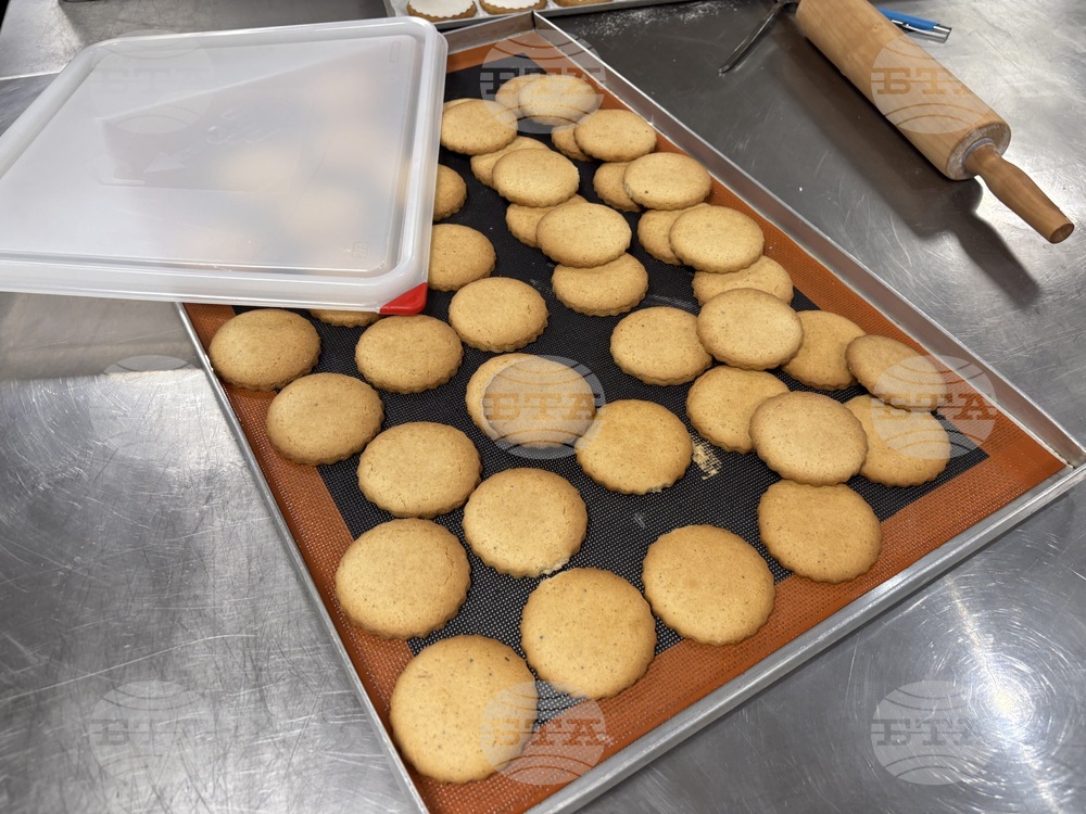 Самоков - комплекс „СамЕлион“ - Ден на отворените врати