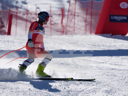 US World Cup Downhill Skiing