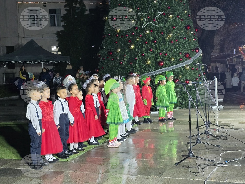 Гоце Делчев - коледна елха - празнични светлини