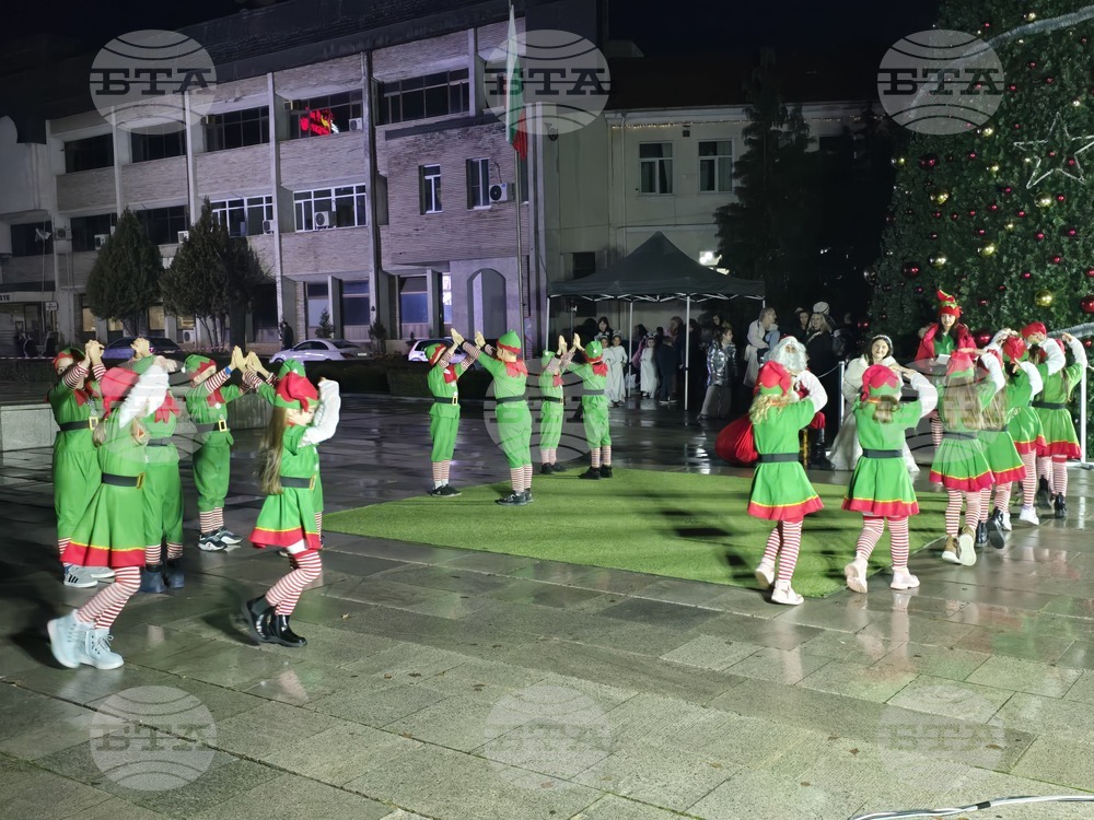 Гоце Делчев - коледна елха - празнични светлини