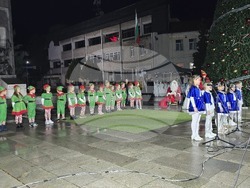 Гоце Делчев - коледна елха - празнични светлини