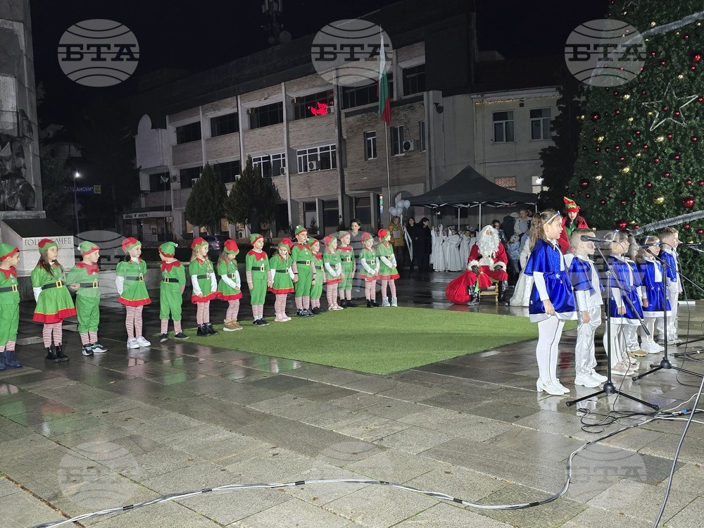 Гоце Делчев - коледна елха - празнични светлини