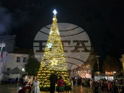 Гоце Делчев - коледна елха - празнични светлини