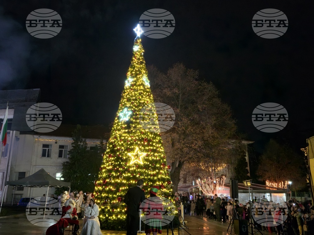 Гоце Делчев - коледна елха - празнични светлини