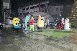 Гоце Делчев - коледна елха - празнични светлини