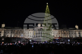 Britain Norway Christmas Tree