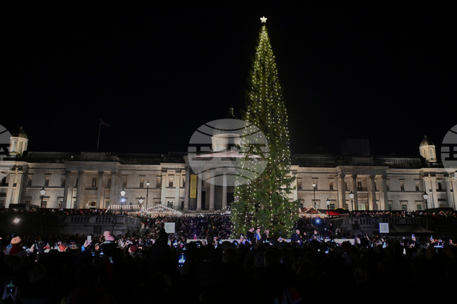 Britain Norway Christmas Tree