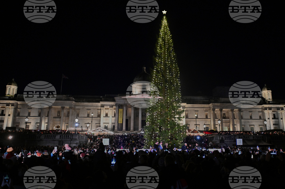 Britain Norway Christmas Tree