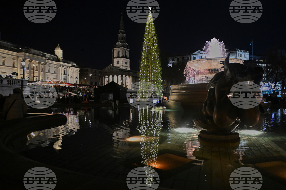Britain Norway Christmas Tree