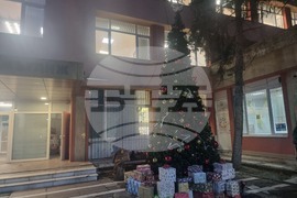 Мъглиж - коледна елха - празнични светлини