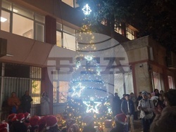 Мъглиж - коледна елха - празнични светлини