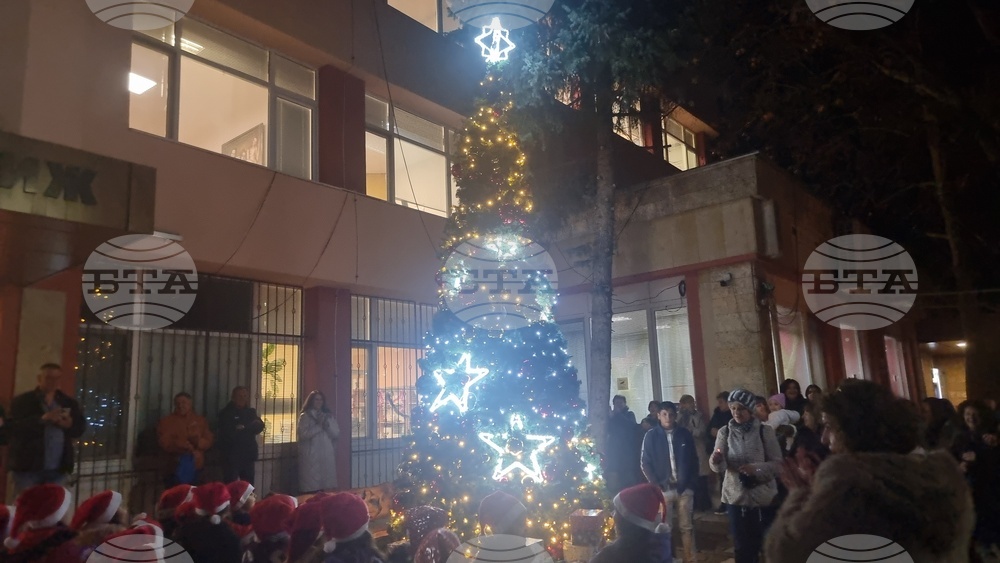 Мъглиж - коледна елха - празнични светлини