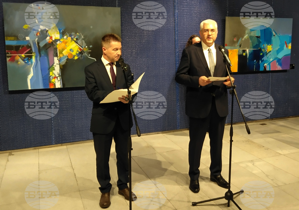 "София - Истанбул: Мост на изкуството" - изложба