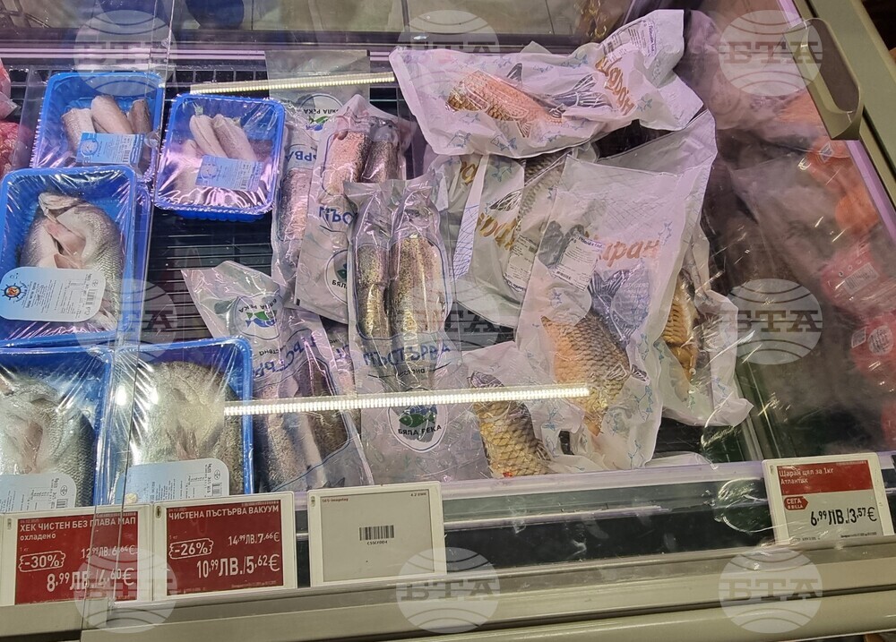 Шумен - риба - цени