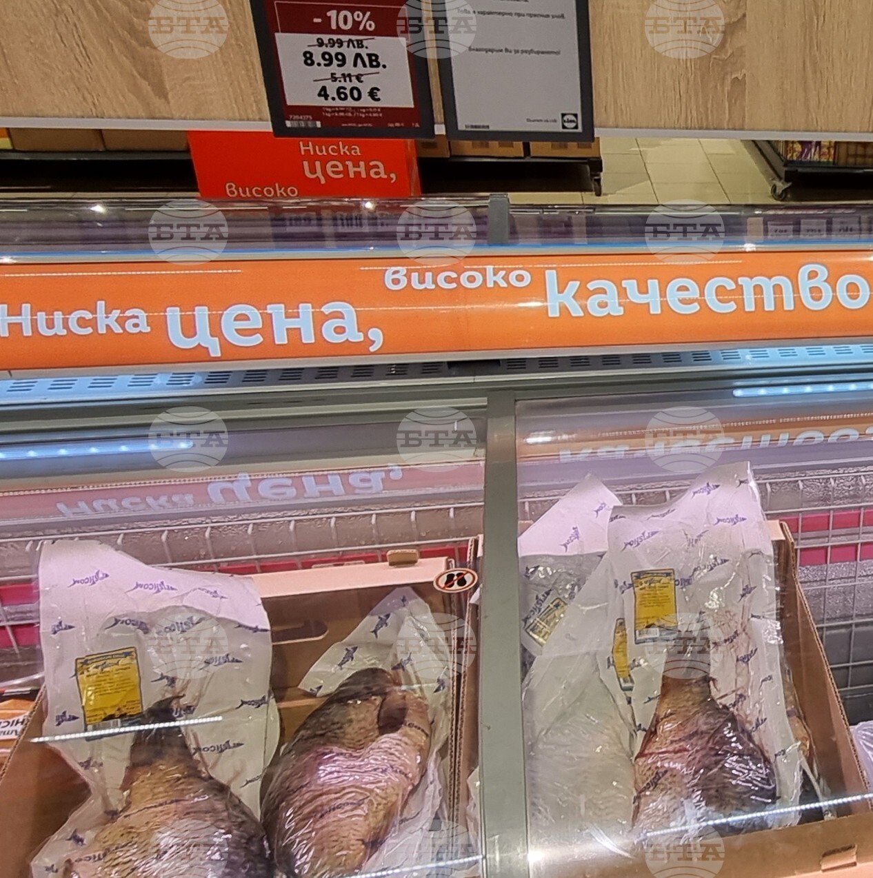 Шумен - риба - цени