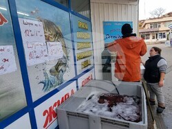 Шумен - риба - цени