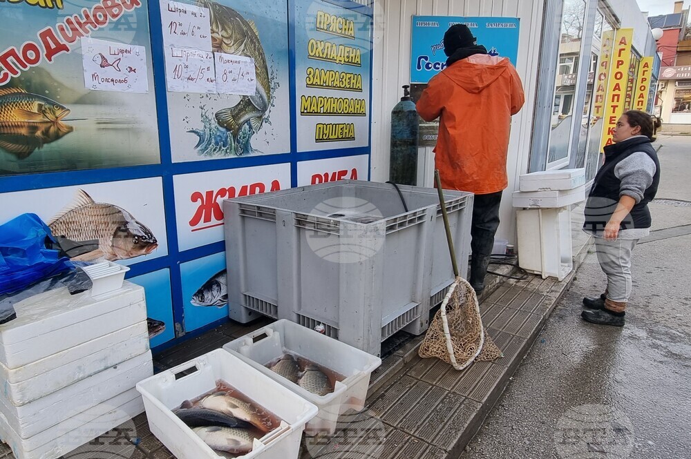 Шумен - риба - цени