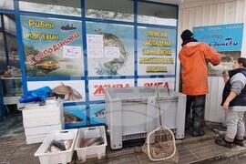 Шумен - риба - цени