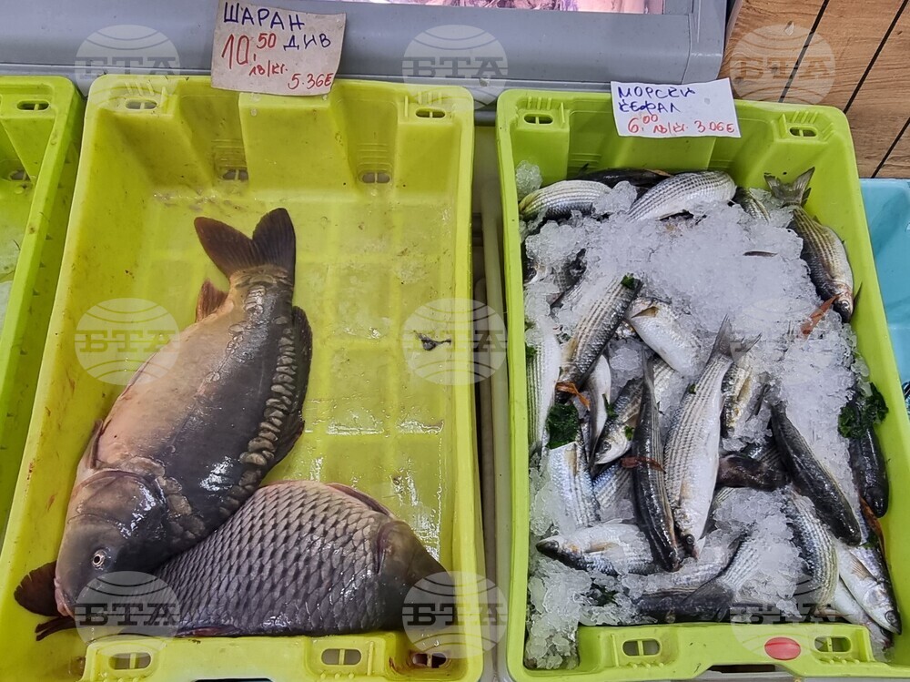 Шумен - риба - цени