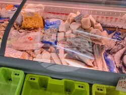 Шумен - риба - цени