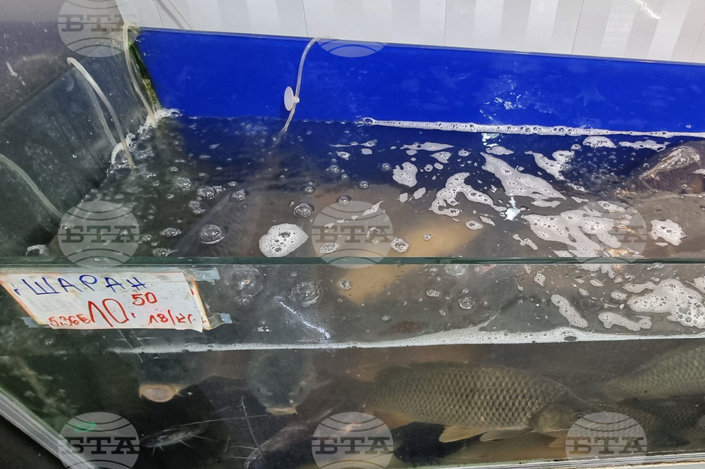 Шумен - риба - цени