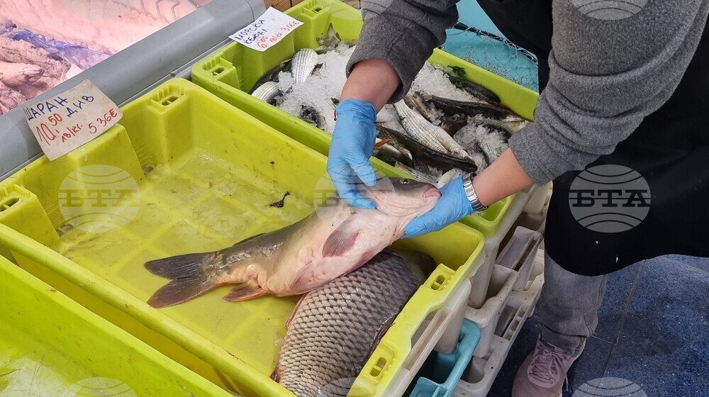 Шумен - риба - цени