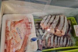 Шумен - риба - цени