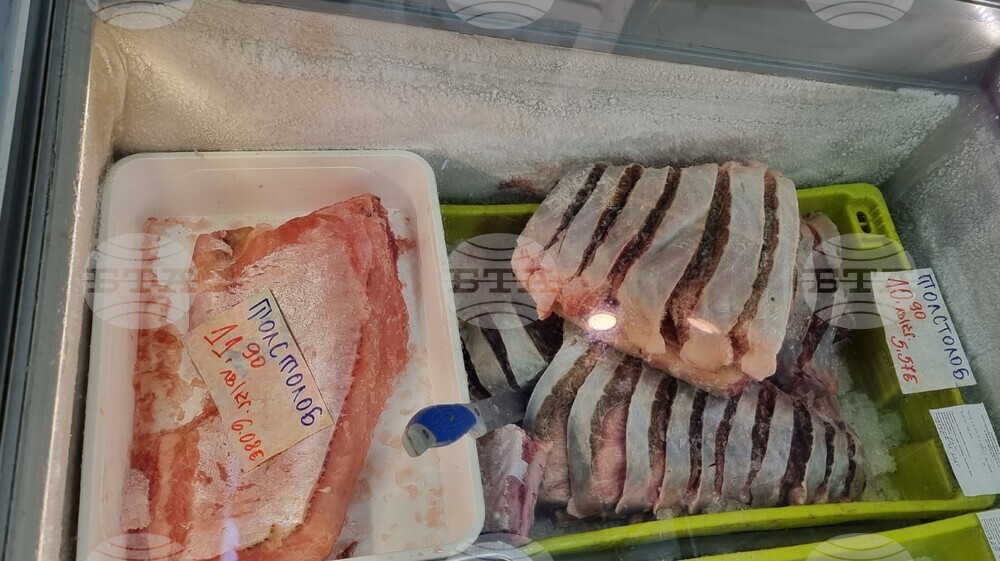 Шумен - риба - цени