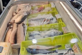 Шумен - риба - цени