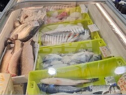 Шумен - риба - цени