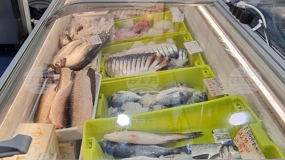 Шумен - риба - цени