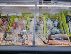 Шумен - риба - цени