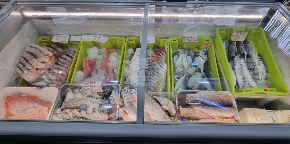 Шумен - риба - цени