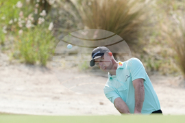 Bahamas Hero World Challenge Golf