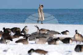 Extreme Winter Weather Illinois