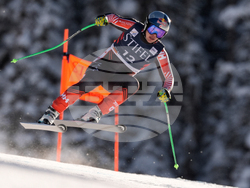 US World Cup Downhill Skiing