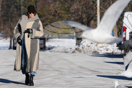 Extreme Winter Weather Illinois