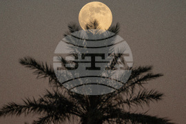Marrakech Supermoon