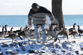 Extreme Winter Weather Illinois