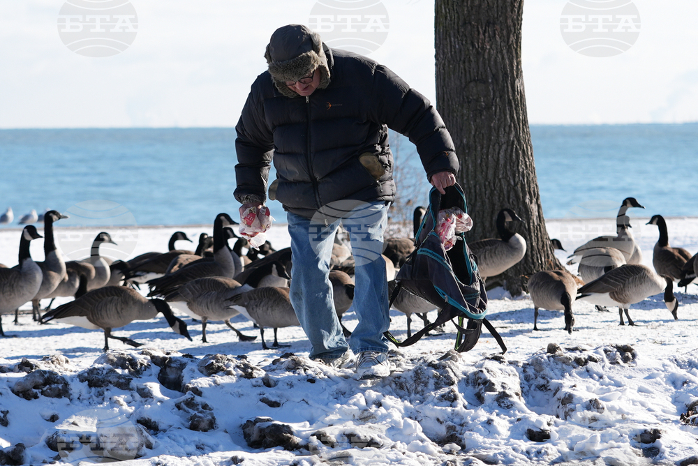Extreme Winter Weather Illinois