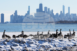 Extreme Winter Weather Illinois