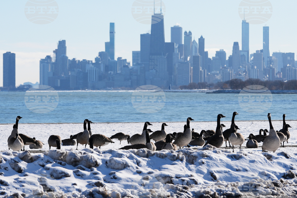Extreme Winter Weather Illinois