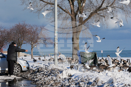 Extreme Winter Weather Illinois