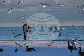 Extreme Winter Weather Illinois