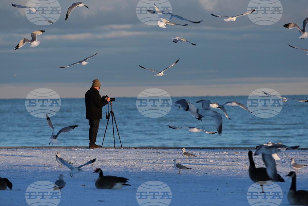 Extreme Winter Weather Illinois