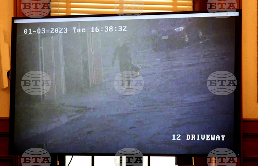 Brian Walshe Murder Trial