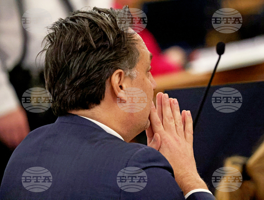 Brian Walshe Murder Trial