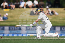 New Zealand West Indies Cricket